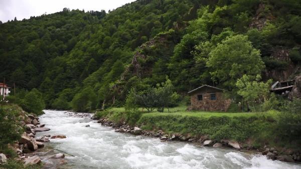 karadeniz e doga tatili ilgisi 8