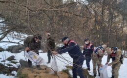 Trabzon da HAYDİ Timleri yaban hayvanlarını unutmadı