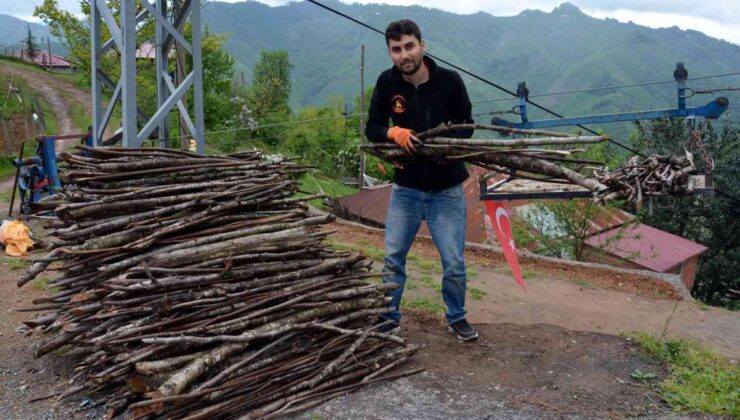 Gelmeyen yaz vatandaşları yakacak derdine düşürdü