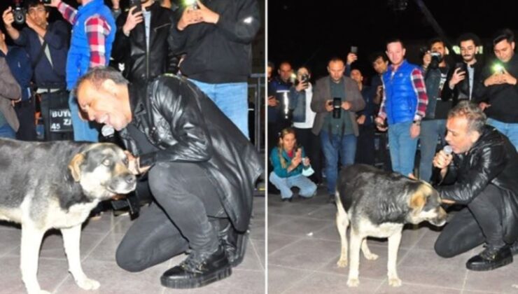 Haluk Levent köpekle yere uzanıp şarkı söyledi