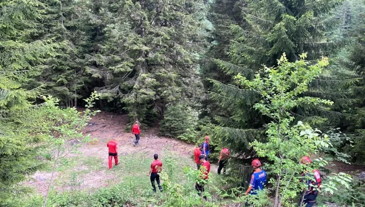 Rize’de dereye düşen Arap turisti arama çalışmaları devam ediyor