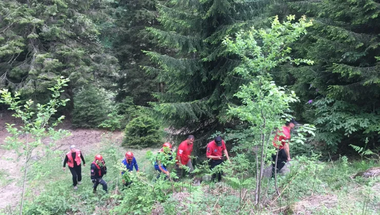 Rize’de fotoğraf çektirirken dereye düşen turist kayboldu