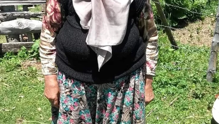 Giresun’da kaybolan Alzheimer hastası kadın 24 saattir aranıyor