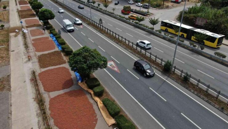 Karadeniz Sahil Yolu fındıkçılar için harman yeri oldu