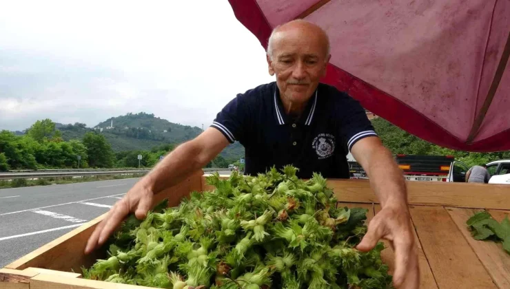 Ordu’da yeni fındık hasattan önce tezgahlarda