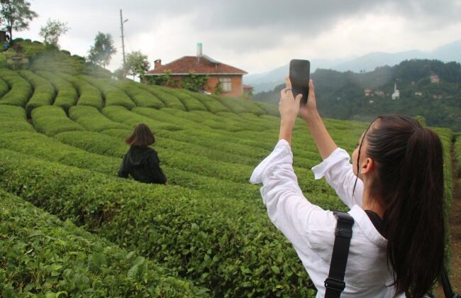 Rize´de ‘çay turizmi’ bereketi