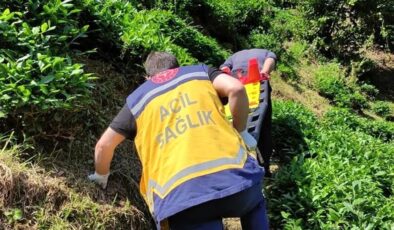 Rize’de yamaçtaki çay bahçesinden yuvarlanan şahıs sedye ile 400 metre taşınarak hastaneye sevk edildi