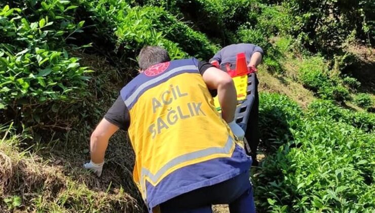 Rize’de yamaçtaki çay bahçesinden yuvarlanan şahıs sedye ile 400 metre taşınarak hastaneye sevk edildi