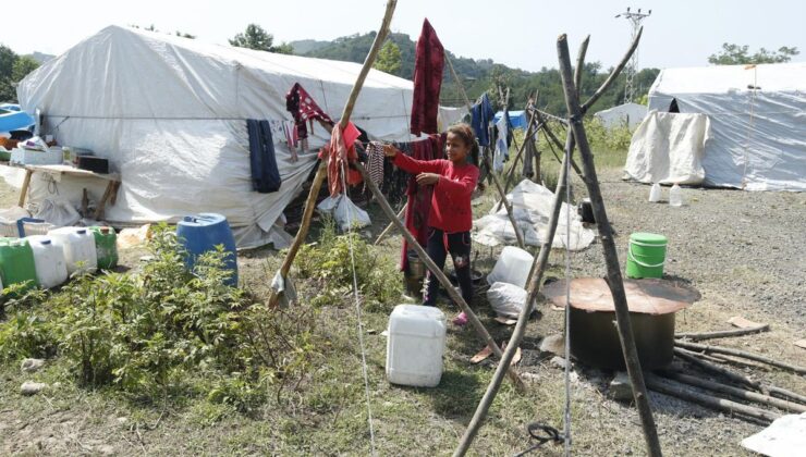 Samsun’da mevsimlik tarım işçilerinin fındık hasadı mesaisi sürüyor