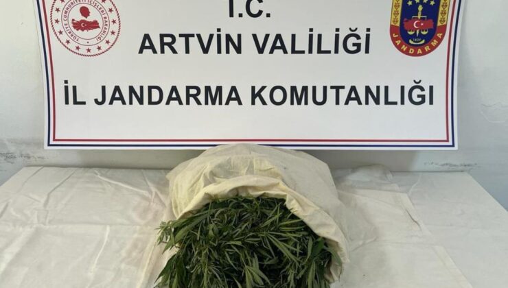 Artvin’de uyuşturucu operasyonunda 2 zanlı gözaltına alındı