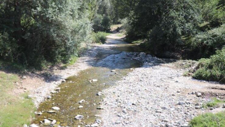 Bolu’ da içme suyundan zehirlenme vakalarına ilişkin yeni gelişme: Bakteri izine rastlandı