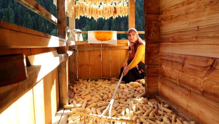 Artvin’in köylerinde kış hazırlıkları başladı