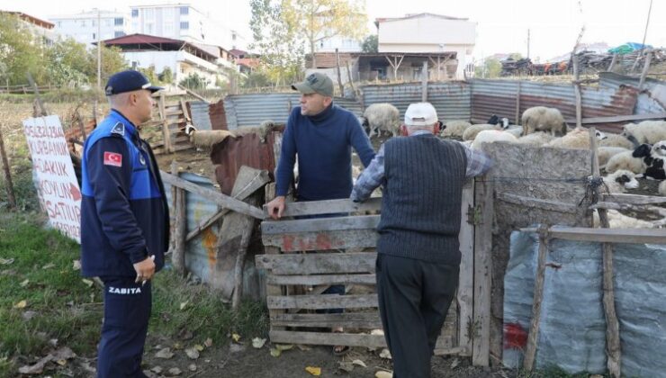 Samsun İlkadım’da ahırlara zabıta müdahalesi