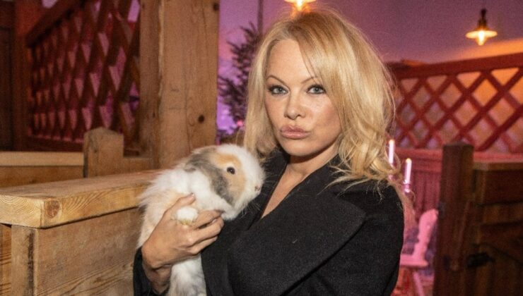 Ünlü oyuncu Pamela Anderson’dan şaşırtan cinsel taciz itirafı