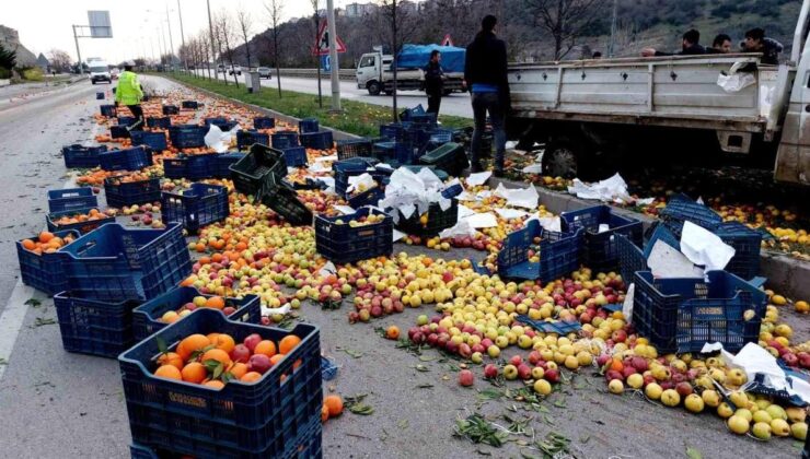 Samsun’da Meyve yüklü kamyonet kaza yaptı, meyveler yola saçıldı: 1 yaralı