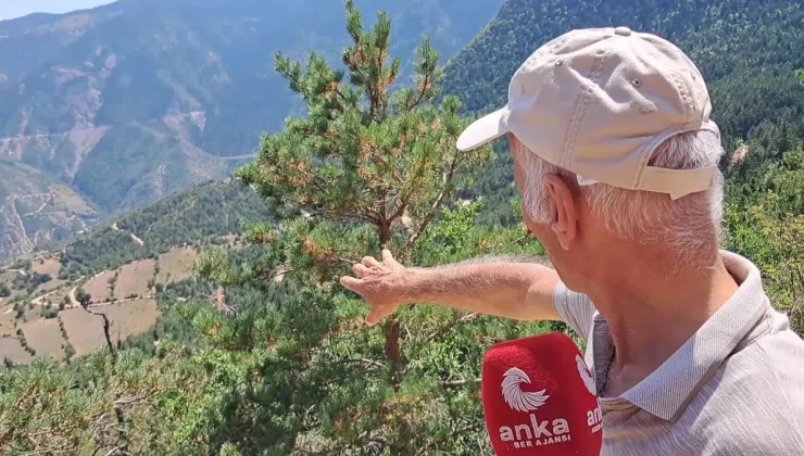 Artvin’in Üç Köyünde Vatandaş, Altın Madeni Çalışmalarına Tepkili: “Tozu Toprağı Biz Çekeceğiz, Sen Adamın Zenginliğine Zenginlik Katacaksın”