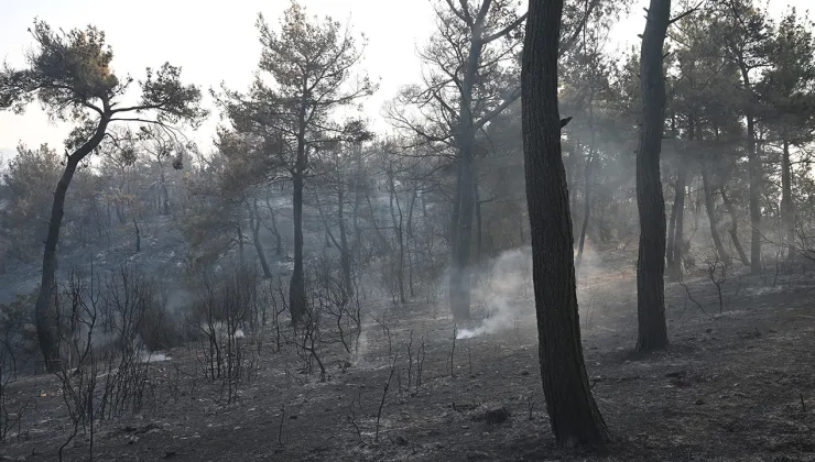 Çanakkale’deki orman yangını kontrol altına alındı