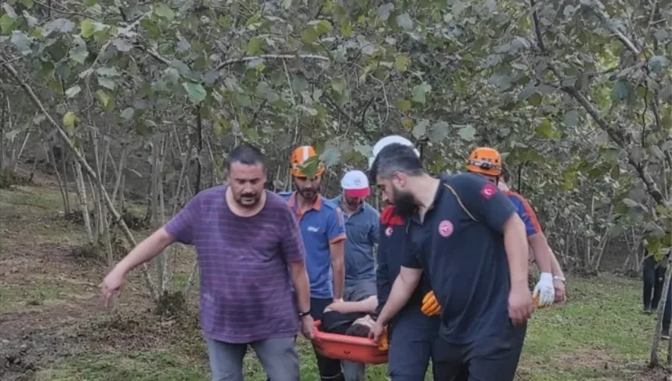 Giresun’da yamaçtan yuvarlanan çocuk yaralandı