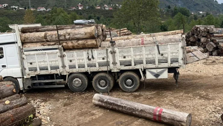 Giresun’da feci kaza: Üzerine tomruk düşen kişi öldü!