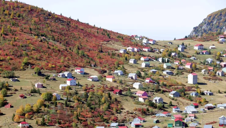 Trabzon-Giresun sınırındaki Sis Dağı’nda güz zamanı