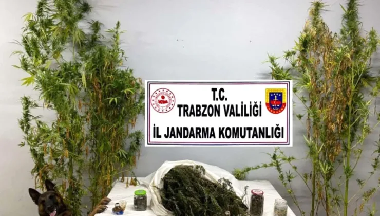 Trabzon’da Uyuşturucu Operasyonu: 3 Şüpheli Gözaltına Alındı