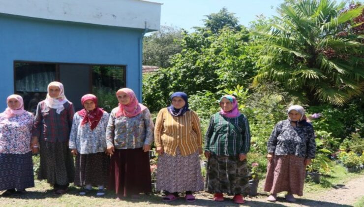 7 Kız Kardeşin Biri Bile Evlenmedi: Bahçelerinde Yetiştirip Tonlarca Satıyorlar