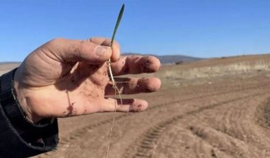 Bakan Yumaklı’dan, peyzajda çim yerine ”kuraklığa dayanıklı bitki” kullanımı çağrısı