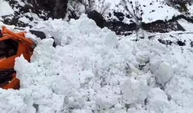 Artvin’de Çığ Faciası: Borçka-Camili Yolu Kapandı