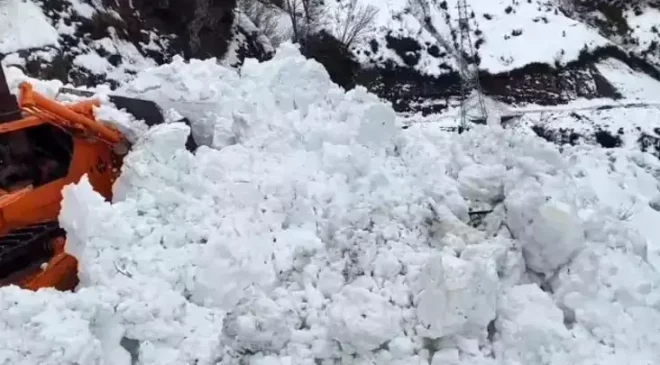 Artvin’de Çığ Faciası: Borçka-Camili Yolu Kapandı