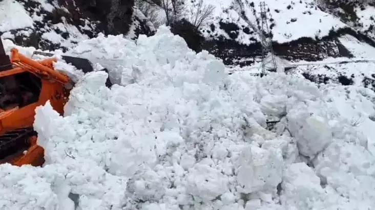 Artvin’de Çığ Faciası: Borçka-Camili Yolu Kapandı