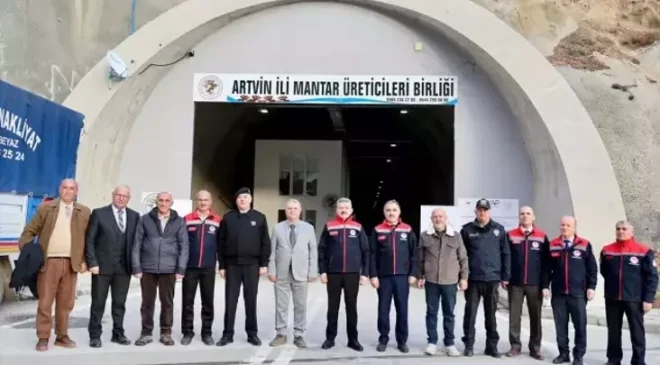 Artvin’de İstiridye Mantarı Üretimi Artıyor