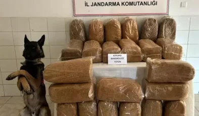 Gümüşhane’de Bandrolsüz 138 Kilogram Tütün Ele Geçirildi