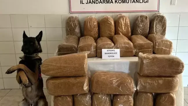 Gümüşhane’de Bandrolsüz 138 Kilogram Tütün Ele Geçirildi