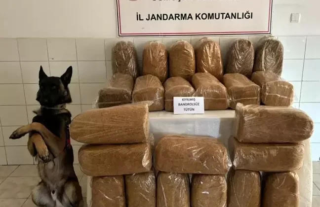 Gümüşhane’de Bandrolsüz 138 Kilogram Tütün Ele Geçirildi